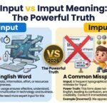 Input vs Imput Meaning: The Powerful Truth 2026